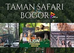 Safari Bogor Buka Jam Berapa